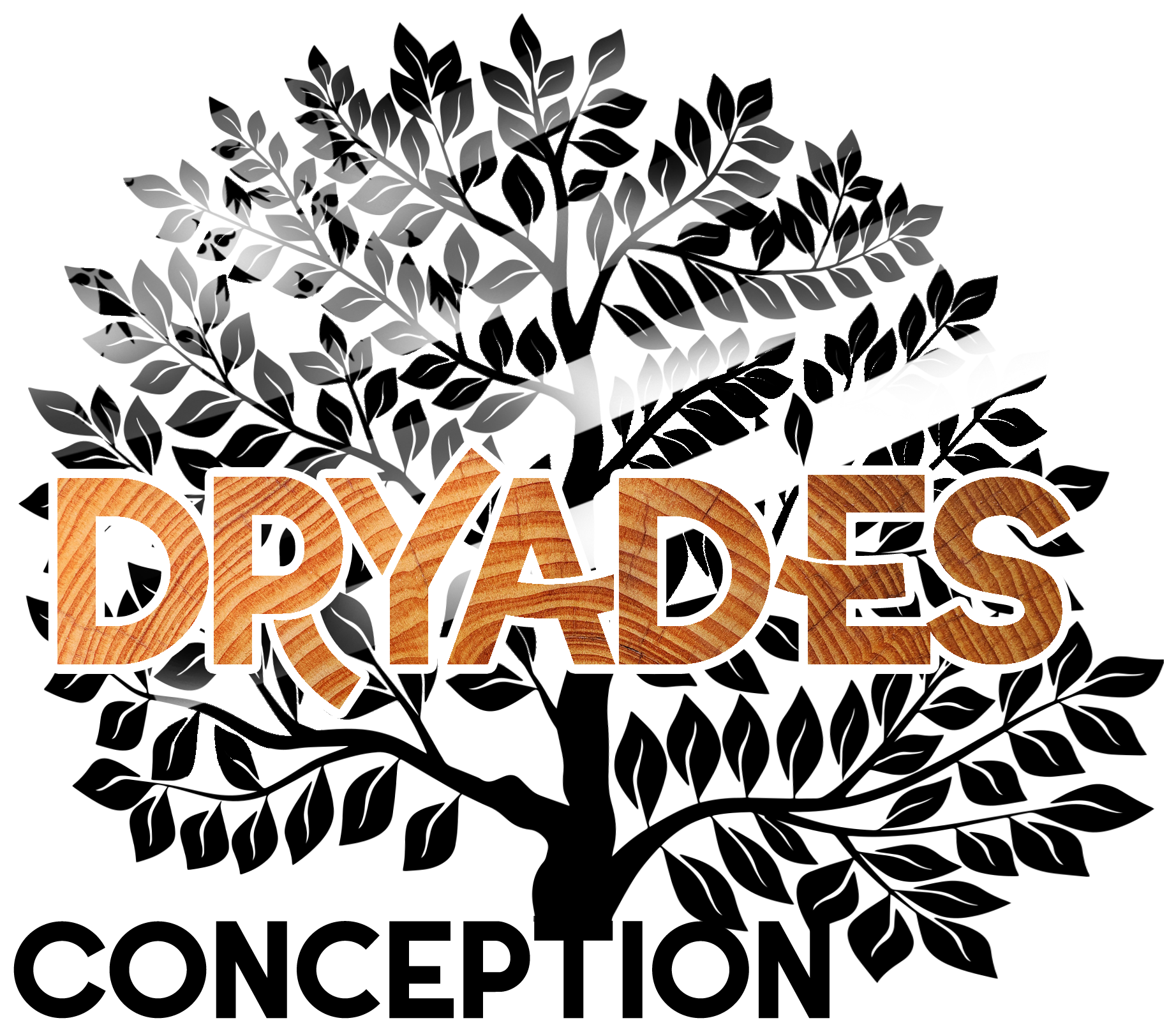 Dryades Conception